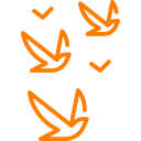 pzyroda